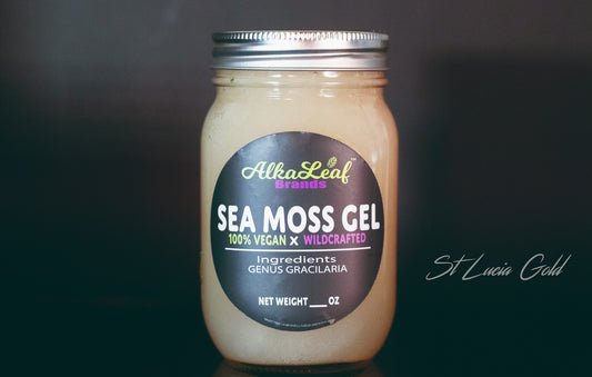 Wild Crafted Gold St. Lucia Sea Moss Gel (16oz).